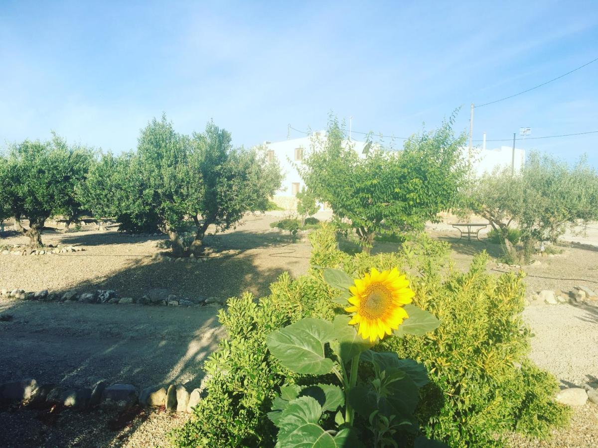 Bed and Breakfast Casa Lumbreras Esparragal Екстер'єр фото