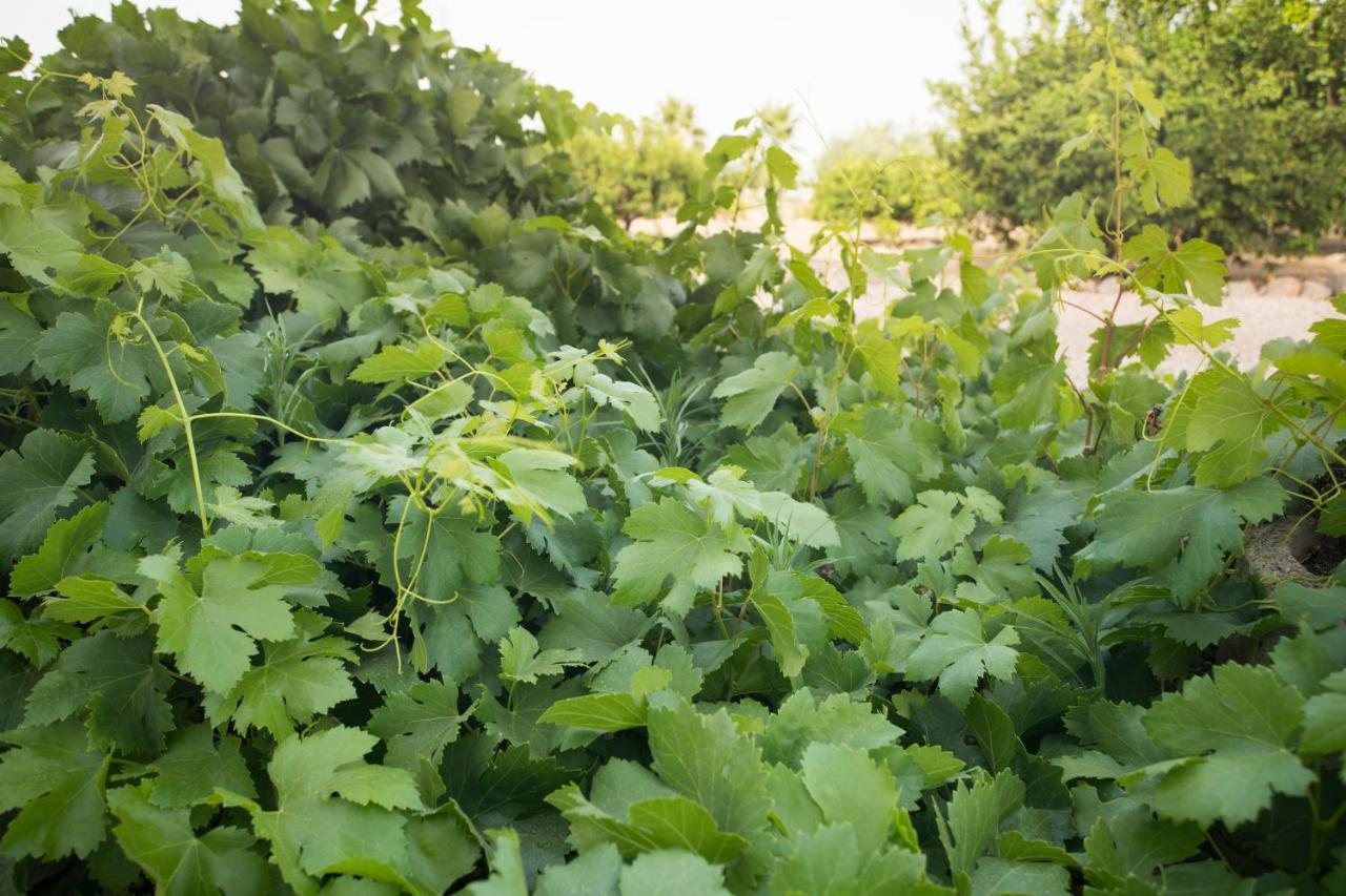Bed and Breakfast Casa Lumbreras Esparragal Екстер'єр фото